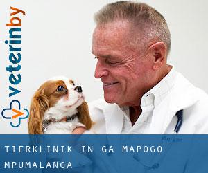 Tierklinik in Ga-Mapogo (Mpumalanga)