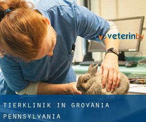 Tierklinik in Grovania (Pennsylvania)