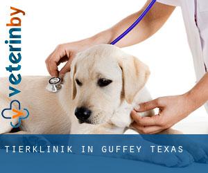 Tierklinik in Guffey (Texas)