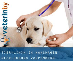 Tierklinik in Hanshagen (Mecklenburg-Vorpommern)