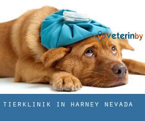 Tierklinik in Harney (Nevada)