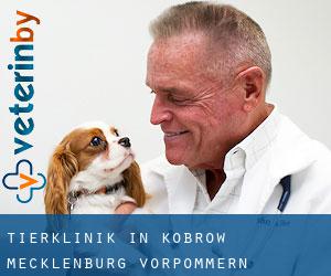 Tierklinik in Kobrow (Mecklenburg-Vorpommern)