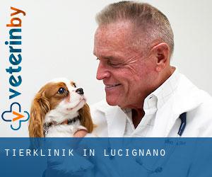 Tierklinik in Lucignano