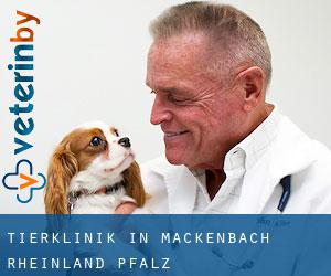 Tierklinik in Mackenbach (Rheinland-Pfalz)