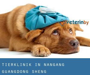 Tierklinik in Nangang (Guangdong Sheng)