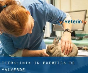 Tierklinik in Pueblica de Valverde