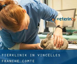 Tierklinik in Vincelles (Franche-Comté)