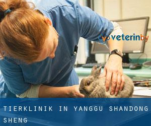 Tierklinik in Yanggu (Shandong Sheng)