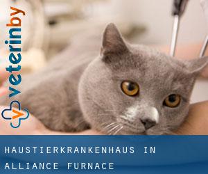 Haustierkrankenhaus in Alliance Furnace