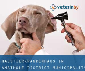 Haustierkrankenhaus in Amathole District Municipality durch hauptstadt - Seite 3