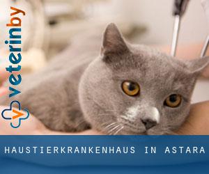 Haustierkrankenhaus in Astara