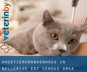 Haustierkrankenhaus in Bellerive Est (census area)