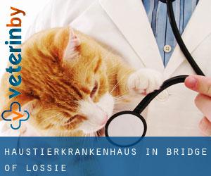 Haustierkrankenhaus in Bridge of Lossie