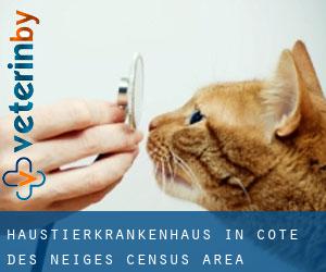 Haustierkrankenhaus in Côte-des-Neiges (census area)