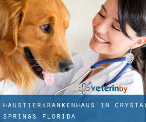 Haustierkrankenhaus in Crystal Springs (Florida)