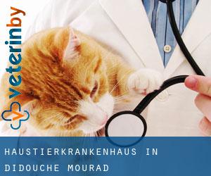 Haustierkrankenhaus in Didouche Mourad