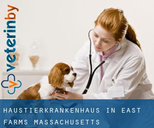 Haustierkrankenhaus in East Farms (Massachusetts)