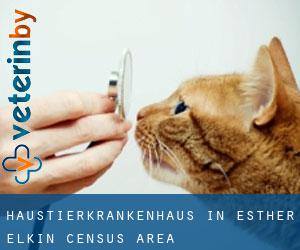 Haustierkrankenhaus in Esther-Elkin (census area)