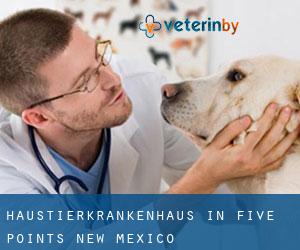 Haustierkrankenhaus in Five Points (New Mexico)