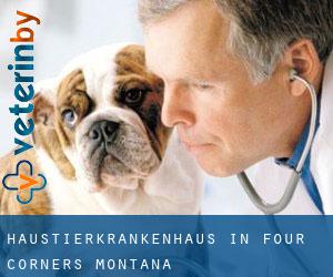 Haustierkrankenhaus in Four Corners (Montana)