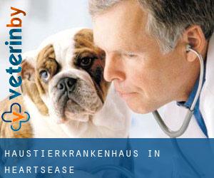 Haustierkrankenhaus in Heartsease