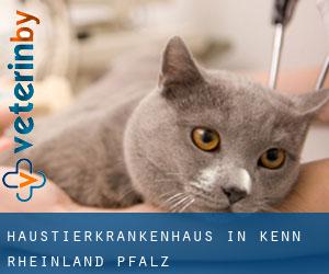 Haustierkrankenhaus in Kenn (Rheinland-Pfalz)