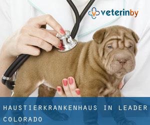 Haustierkrankenhaus in Leader (Colorado)