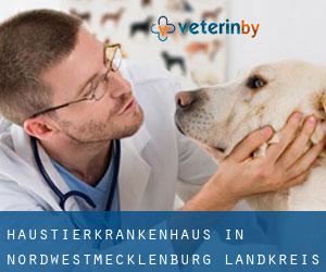 Haustierkrankenhaus in Nordwestmecklenburg Landkreis durch testen besiedelten gebiet - Seite 2