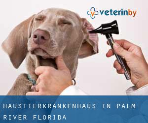 Haustierkrankenhaus in Palm River (Florida)