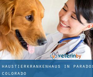Haustierkrankenhaus in Paradox (Colorado)