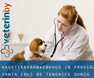 Haustierkrankenhaus in Provinz Santa Cruz de Tenerife durch hauptstadt - Seite 2