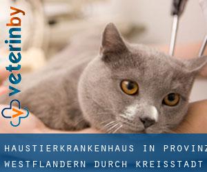 Haustierkrankenhaus in Provinz Westflandern durch kreisstadt - Seite 2