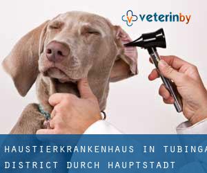 Haustierkrankenhaus in Tubinga District durch hauptstadt - Seite 51