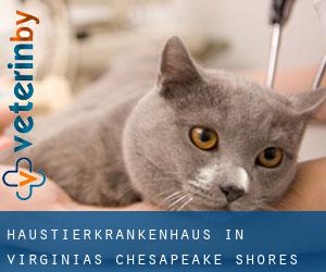 Haustierkrankenhaus in Virginias Chesapeake Shores