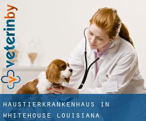 Haustierkrankenhaus in Whitehouse (Louisiana)