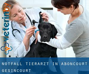 Notfall Tierarzt in Aboncourt-Gesincourt