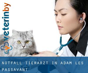 Notfall Tierarzt in Adam-lès-Passavant
