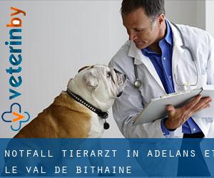 Notfall Tierarzt in Adelans-et-le-Val-de-Bithaine