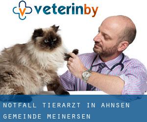 Notfall Tierarzt in Ahnsen (Gemeinde Meinersen)