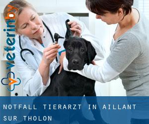 Notfall Tierarzt in Aillant-sur-Tholon