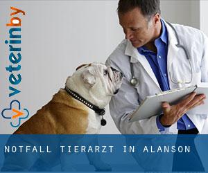 Notfall Tierarzt in Alanson