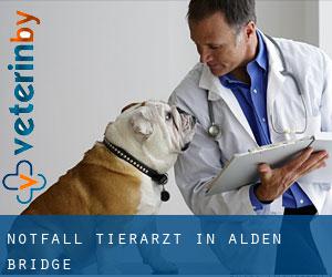 Notfall Tierarzt in Alden Bridge