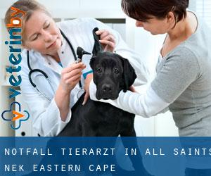 Notfall Tierarzt in All Saints Nek (Eastern Cape)