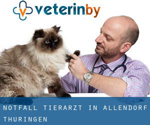 Notfall Tierarzt in Allendorf (Thüringen)