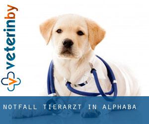 Notfall Tierarzt in Alphaba