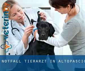 Notfall Tierarzt in Altopascio