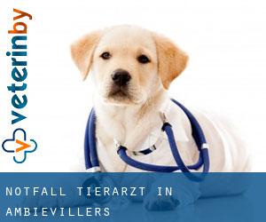 Notfall Tierarzt in Ambiévillers