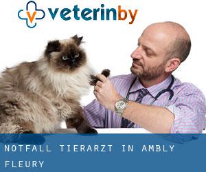 Notfall Tierarzt in Ambly-Fleury
