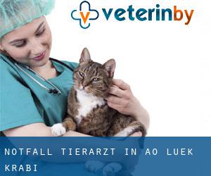 Notfall Tierarzt in Ao Luek (Krabi)