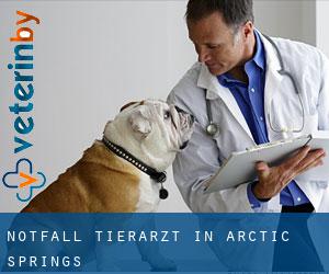 Notfall Tierarzt in Arctic Springs
